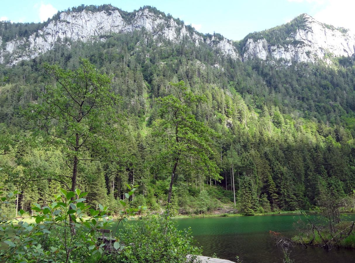 Alpenhotel Gastager Inzell Bagian luar foto