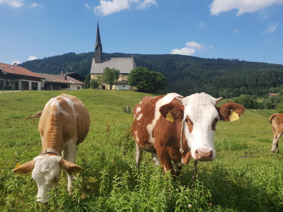 Alpenhotel Gastager Inzell Bagian luar foto